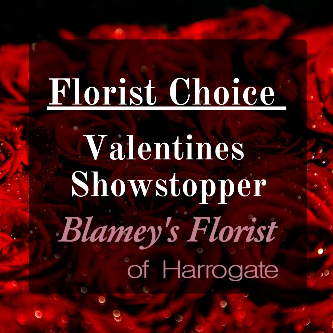 Blamey’s Valentines Showstopper