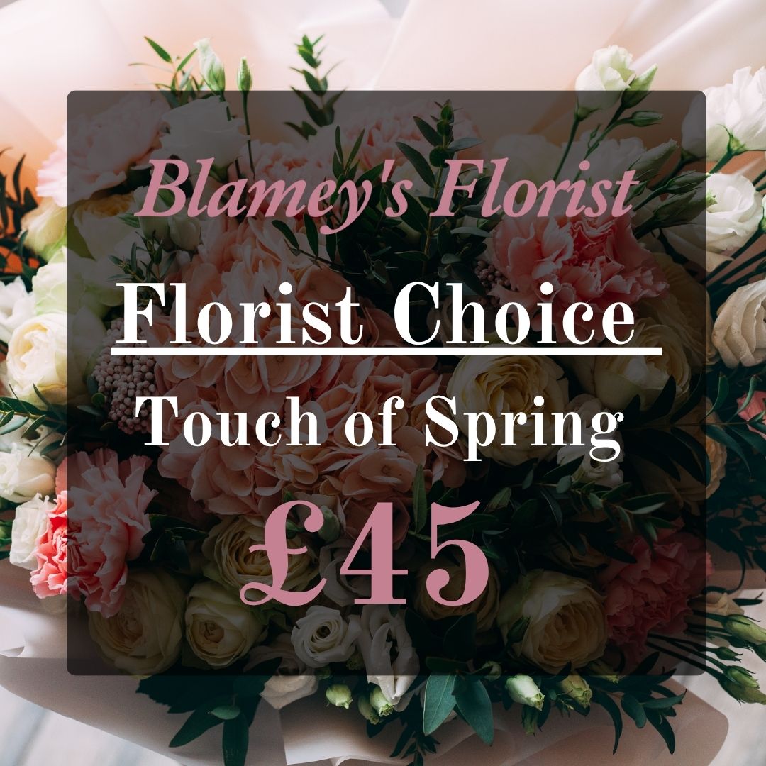 Florist Choice - A Touch of Spring