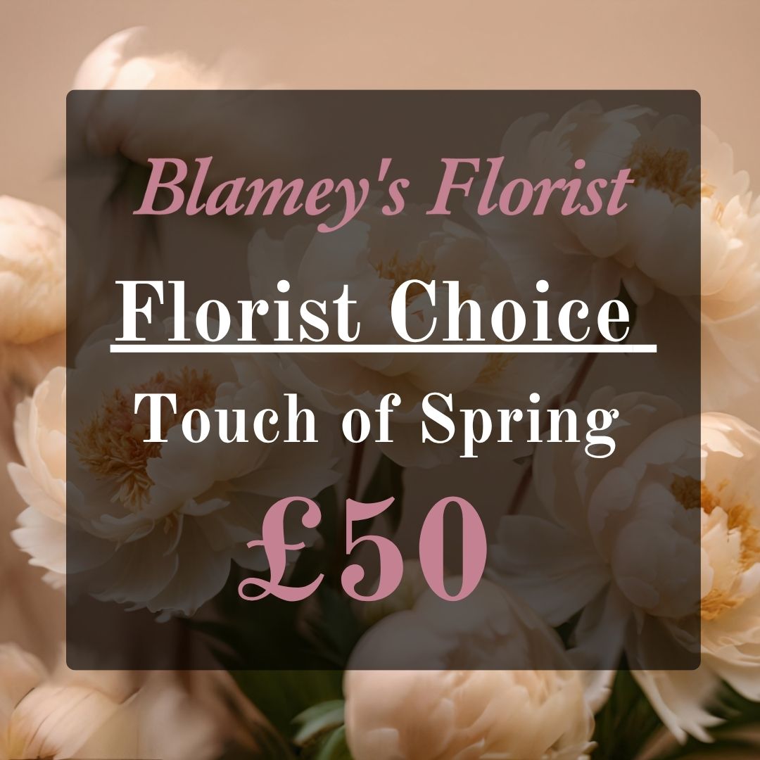 Florist Choice - A Touch of Spring