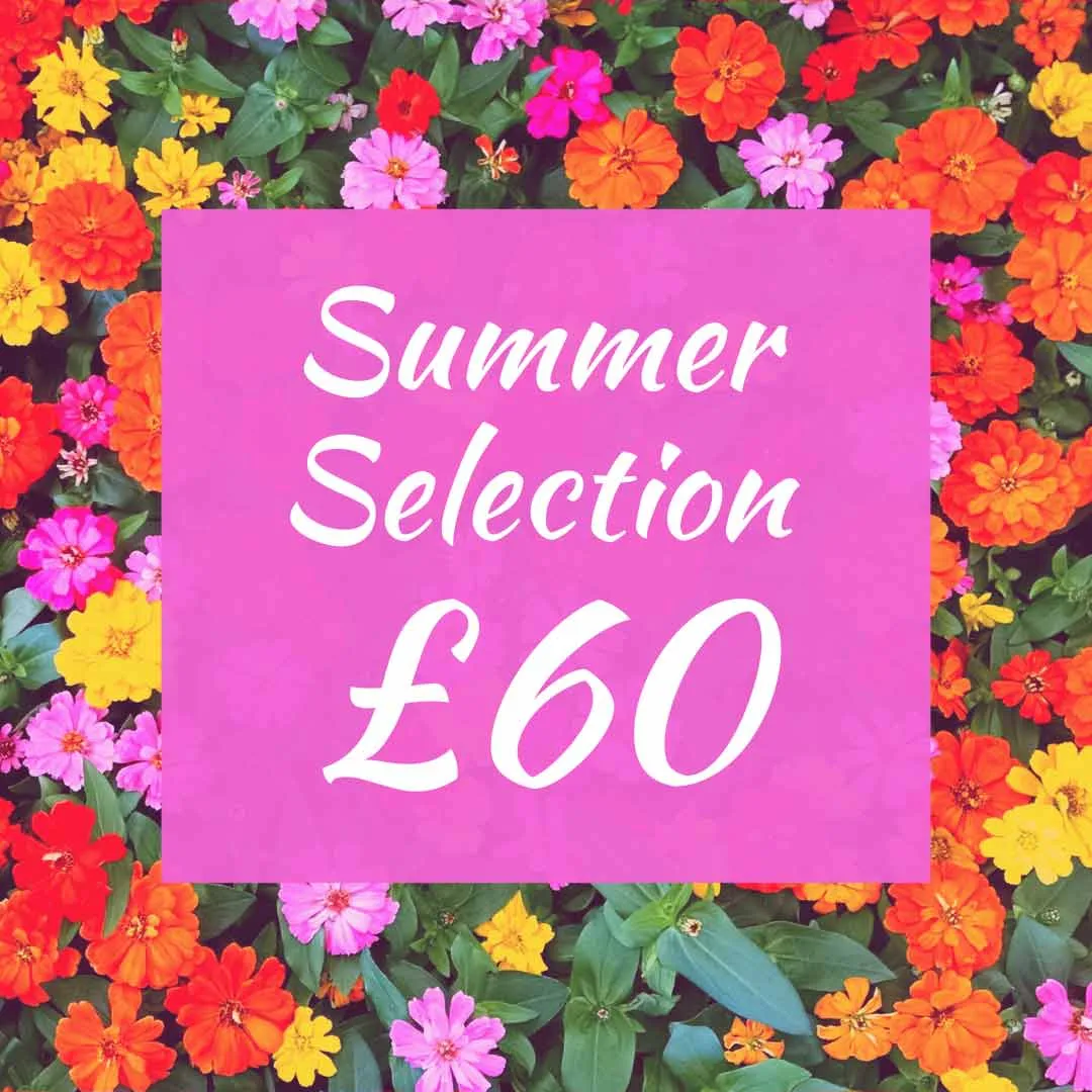 Blamey's Summer Hand tied Florist Choice Bouquet